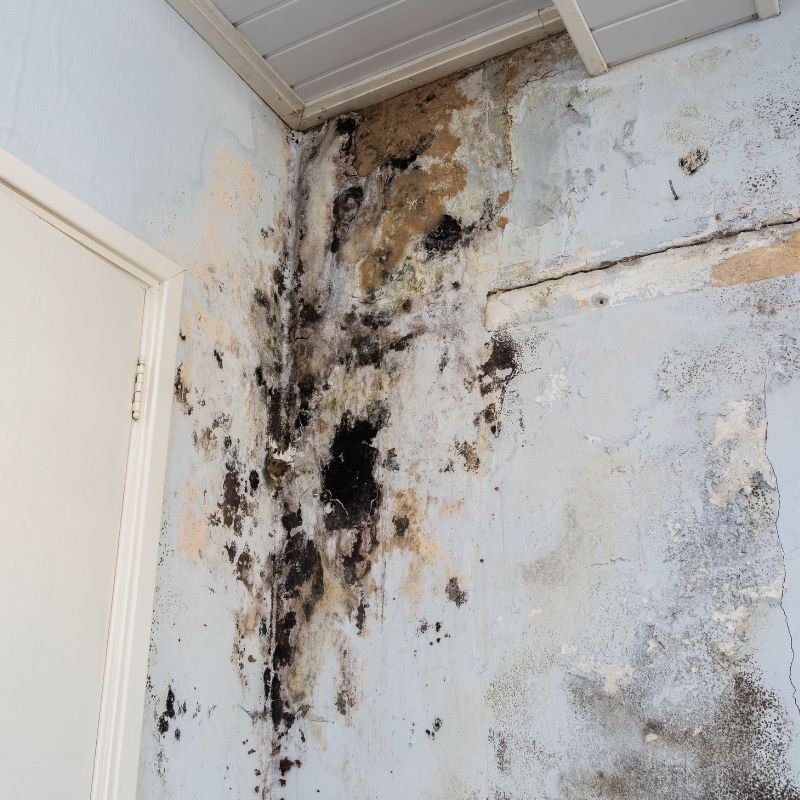 property damage assessment