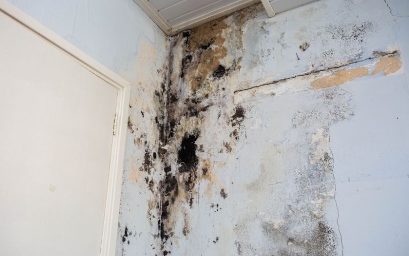 Insurance-related property inspection and defect assessment
