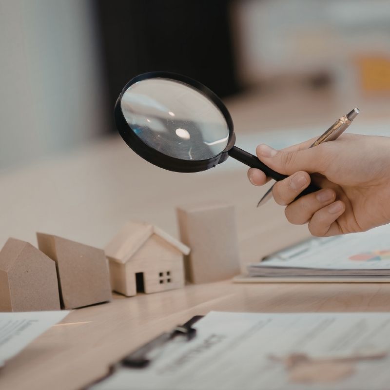 Professional property survey consultation service